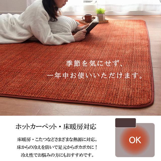 イケヒコ ラグ 2畳 オールシーズン 無地 触れたときのヒヤッと感がない