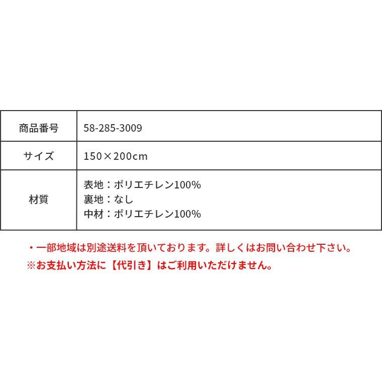 プレイマット ラグ 子供部屋 子ども キッズ スペース 150×200cm リバーシブル リビング 魚 海 地図 プレイマット かわいい BD地図の画像