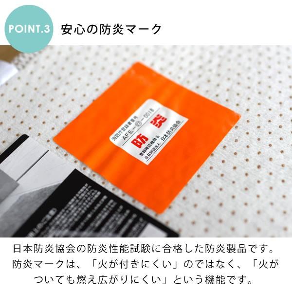 ラグ シャギー 無地 おしゃれ 200×250cm ホットカーペット 床暖房対応 ニューツイスティ スミトロン スミノエ 防ダニ アレルブロック 日本製_10