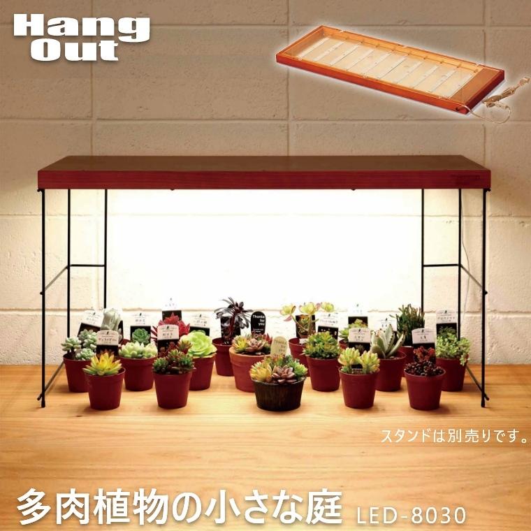 多肉植物専用育成ledライト 多肉植物の小さな庭 Led 8030 ハングアウト Hangout 日照不足解消 多肉植物 日照不足解消 ランプ 照明 室内栽培 58 590 046 家具のホンダ Yahoo 店 通販 Yahoo ショッピング