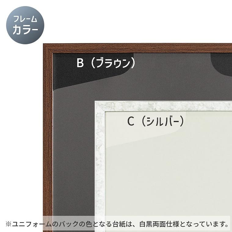 ユニフォーム額縁 コンパクトタイプ L218 Sサイズ 41×52.5cm ケース