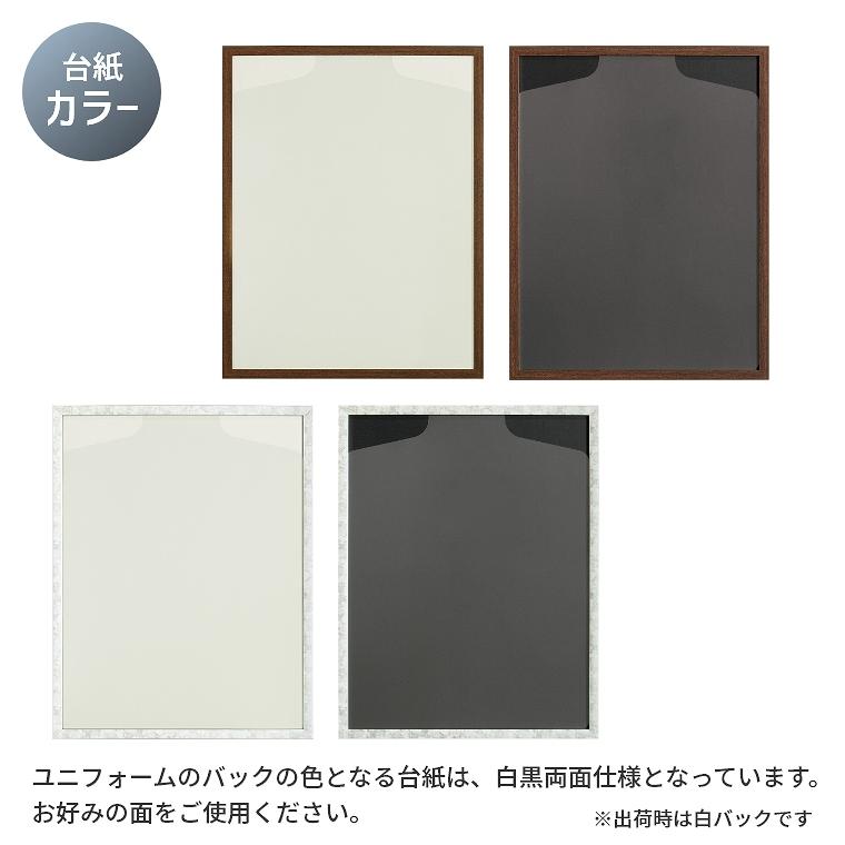 ユニフォーム額縁 コンパクトタイプ L218 Sサイズ 41×52.5cm ケース