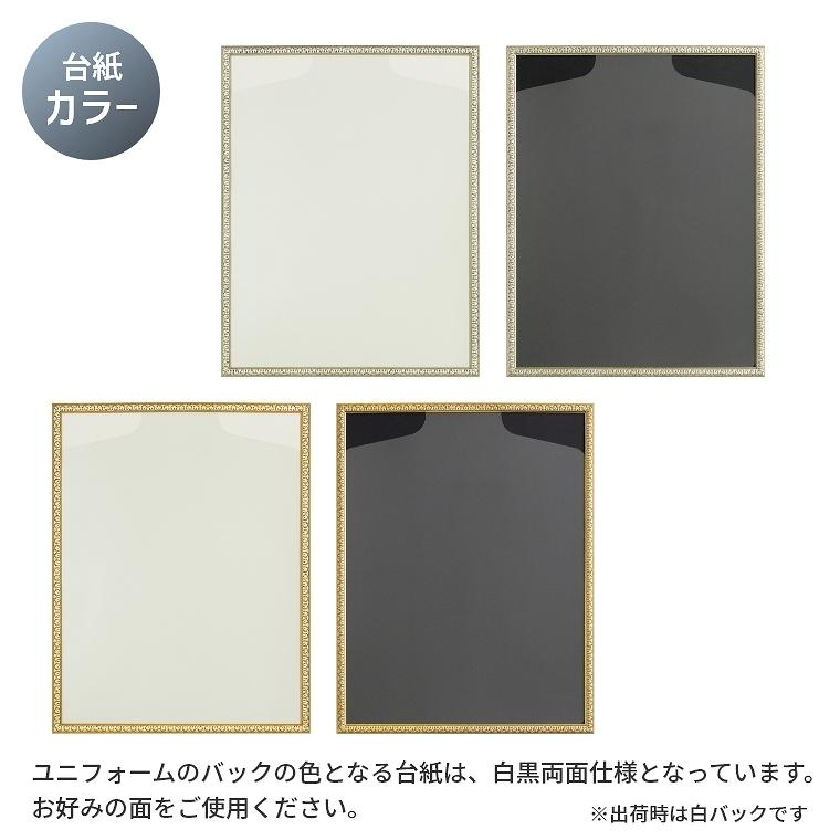ユニフォーム額縁 コンパクトタイプ L219 Sサイズ 41×52.5cm ケース