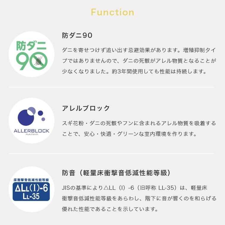 シンプル ストライプ 江戸間10帖 サイズオーダーOK 洗練されたシンプルなライン 防音ラグカーペット Villa ヴィラ 352×440cm スミノエ 日本製_10