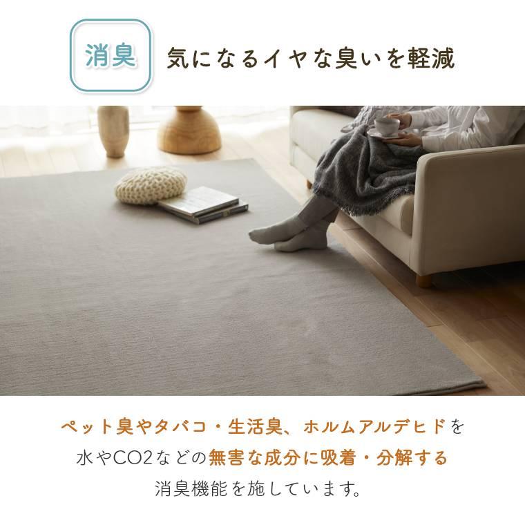 スミノエ ラグ 無地 日本製 【190×240cm】 消臭 床暖房対応 ホット