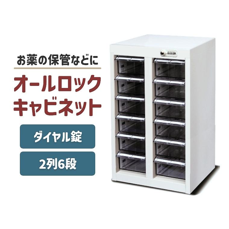 キャビネット 薬局 配薬 与薬 調剤薬局 オフィス 鍵付き 2列 6段 大 