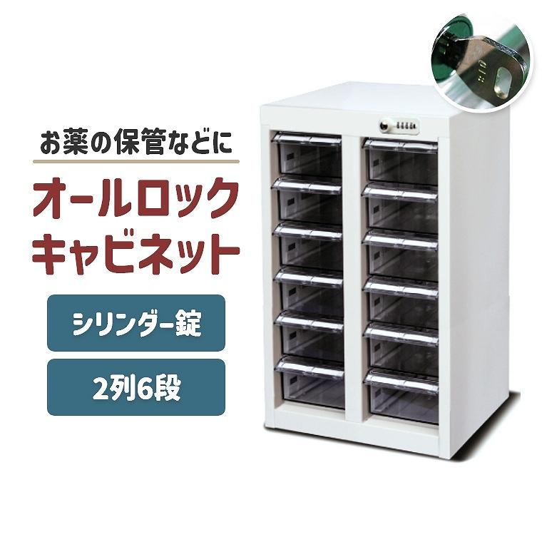キャビネット 薬局 配薬 与薬 調剤薬局 オフィス 鍵付き 2列 6段 大