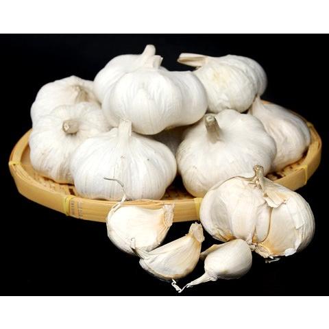 送料無料 21年度産 業務用 九州産にんにく ｂ級品 平均mサイズ 10kg 国産ニンニク Gar 002 美味しい食卓通販 ヤフー店 通販 Yahoo ショッピング