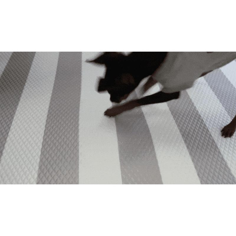 dfang ディパン ペット専用マット 折り畳みタイプ 180×140cm 犬用