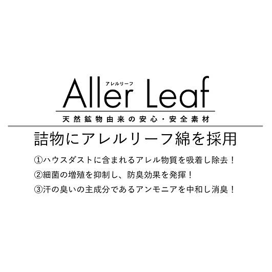 ドリームベッド [開梱設置送料無料] 電動ベッド 専用マットレス 電動 