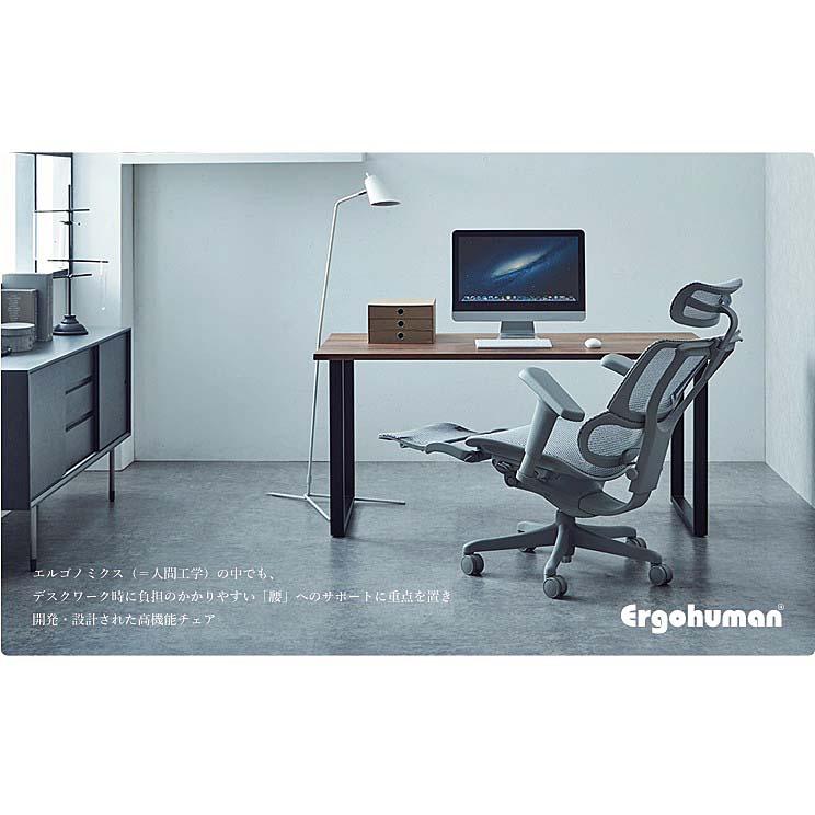 エルゴヒューマン（Ergohuman） 【組立配送無料/レビュー特典有/要在庫
