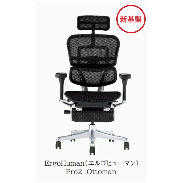 エルゴヒューマン 【組立送料無料/豪華レビュー特典有/要在庫 エルゴヒューマン 【組立送料無料/豪華レビュー特典有/要在庫