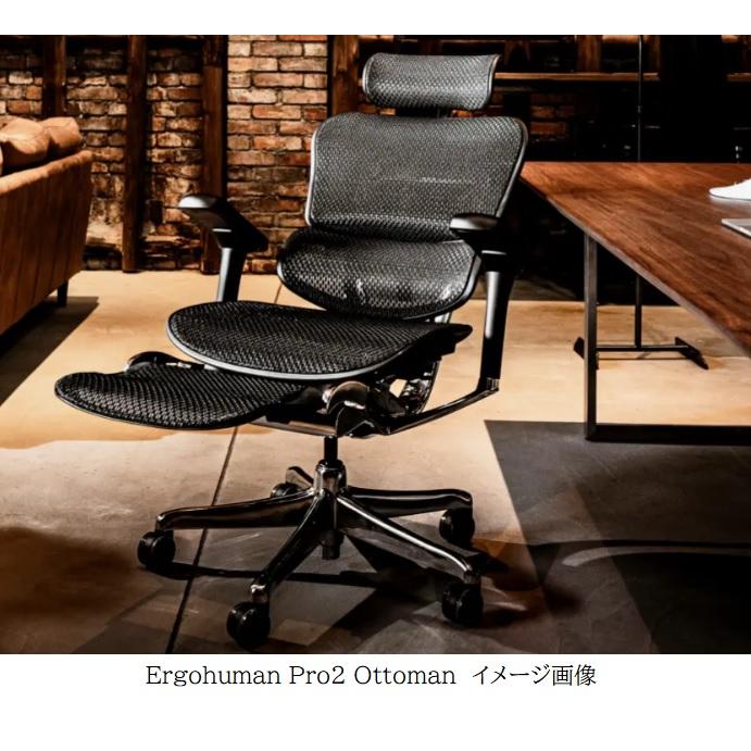 【組立送料無料/レビュー特典有】オフィスチェア 新型 エルゴヒューマン プロ2 オットマン Ergohuman PRO2 Ottoman EHP2-LPL｜f-room｜10