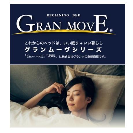 Granz（グランツ） [開梱設置送料無料] シングルベッド グランムーブGM