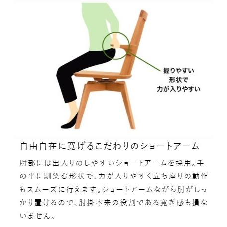 浜本工芸 [送料無料] 5年保証 No.3900 回転ダイニングアームチェア DA