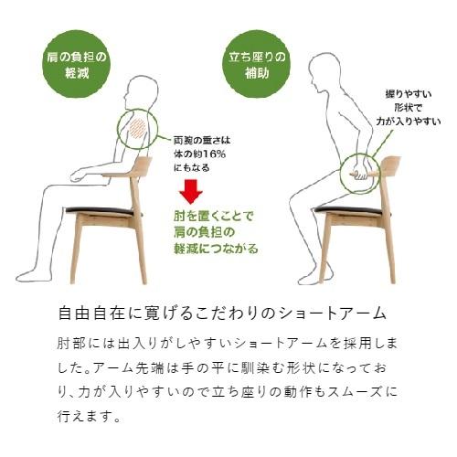 浜本工芸 [送料無料] 5年保証 ダイニングチェア No.4900／DA-4900M 木