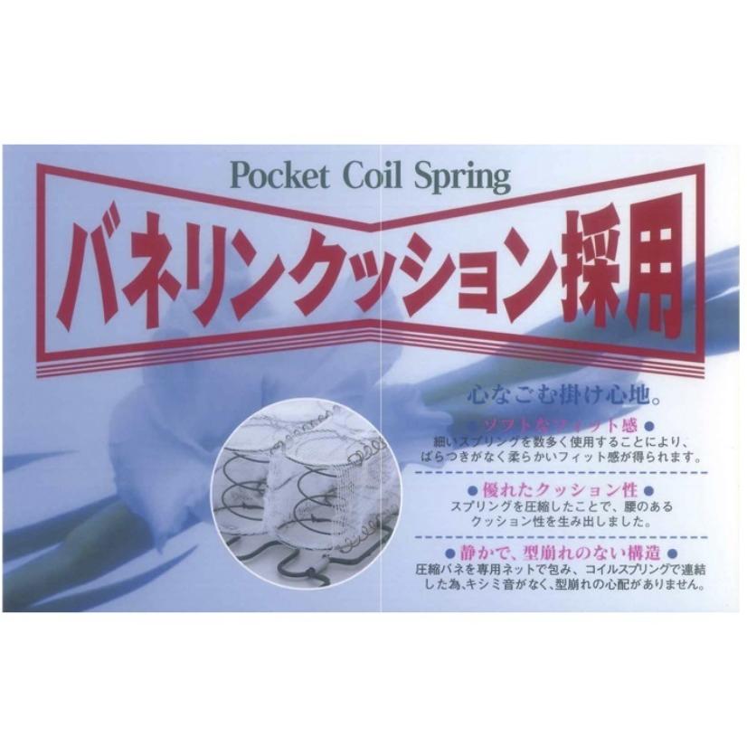 [開梱設置送料無料] 橋詰家具 2.5P ソファ ひむか 木部：楠材 ドイツ・リボス社自然健康塗料 張地：布/合成/本革 50種類 Ｆ☆☆☆☆