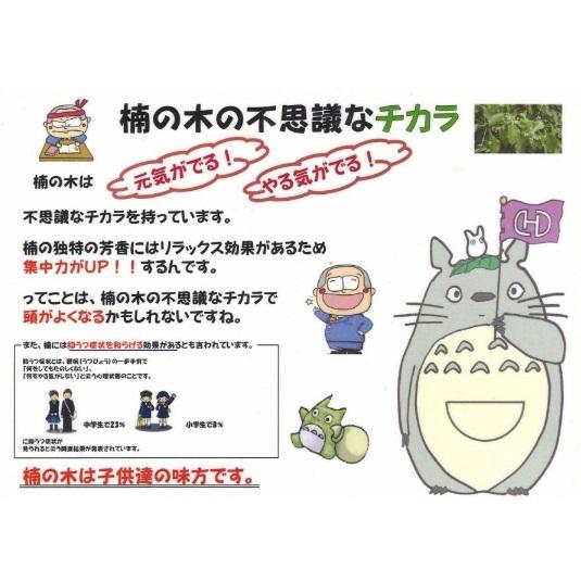 [送料無料] 橋詰家具 国産 プリン 1060ブックスタンド 楠無垢材使用 ドイツ・リボス社自然健康塗料使用 白樺材も有り_5