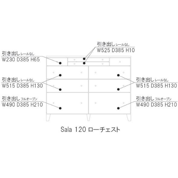 レグナテック 120ドロワー サーラ (広間) 2素材対応 (WN/OAK) ウレタン塗装 受注生産 (納期約30〜40日) 開梱設置送料無料の画像