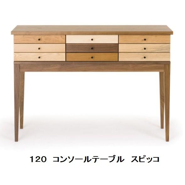 レグナテック 120コンソールテーブル スピッコ (目立つ) 2素材対応 (WN