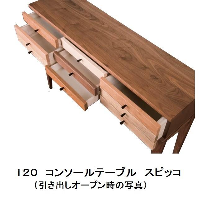 レグナテック 120コンソールテーブル スピッコ (目立つ) 2素材対応 (WN