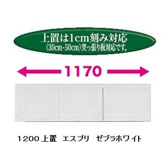 国産大川製 1200上置 エスプリ 前板50色対応 耐震ラッチ付 高さ30cm〜50cm (1cm刻み対応) 突っ張り板付 本体同時購入で開梱設置送料無料