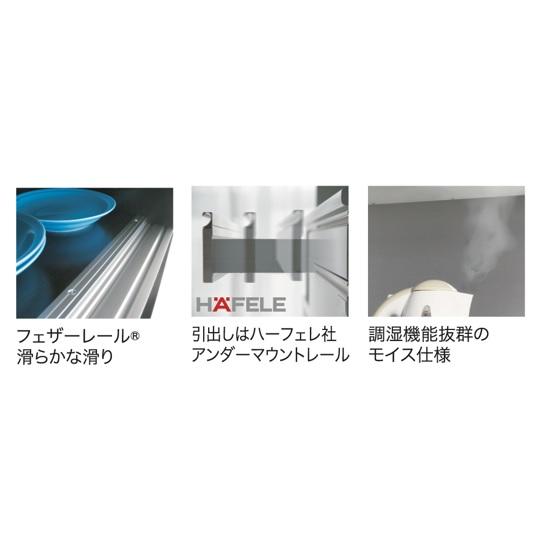 国産大川製 下台 (Fスライドダスト) ネクシア 2サイズ対応 奥行2タイプ 本体2色対応 前板：50色対応 ダストBOX別売 開梱設置送料無料_6