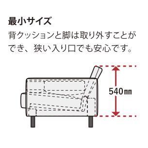 マルイチセーリング [開梱設置送料無料] 国産品 ヌエヴォ (NUEVO) 2P