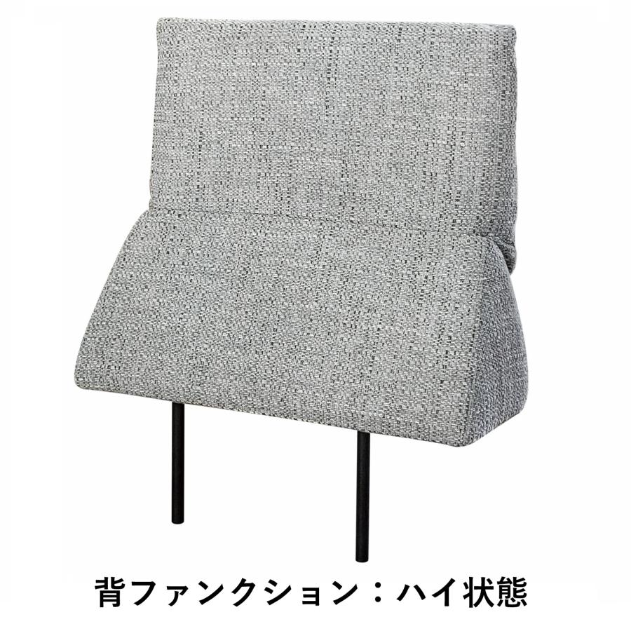 マルイチセーリング [送料無料] 国産品 背ファンクション パルテ
