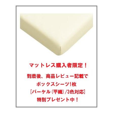 パラマウントベッド（PARAMOUNT BED） [組立設置送料無料] 電動ベッド