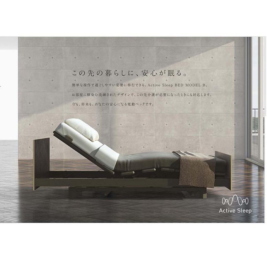 パラマウントベッド（PARAMOUNT BED） [組立設置送料無料] 電動ベッド
