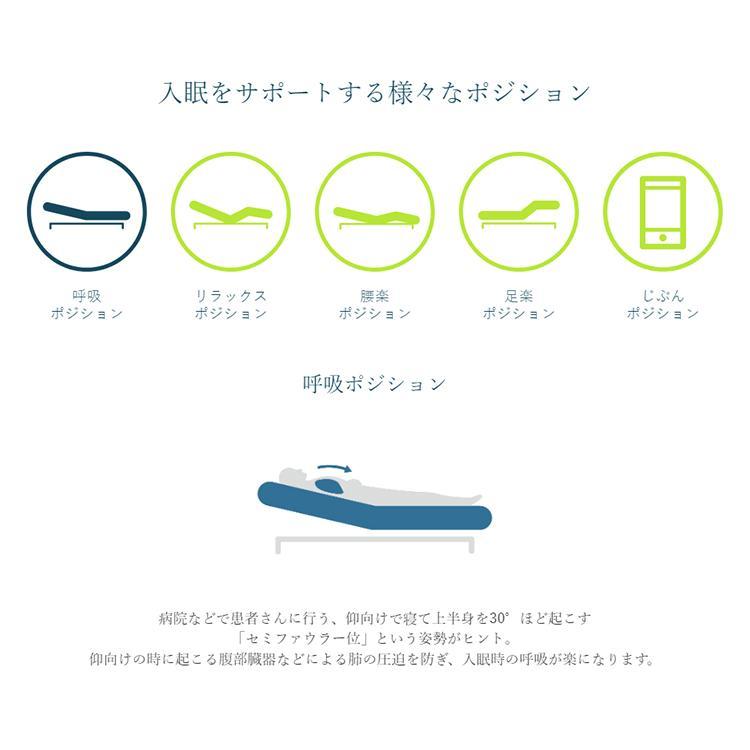 パラマウントベッド（PARAMOUNT BED） [組立設置送料無料] アクティブ