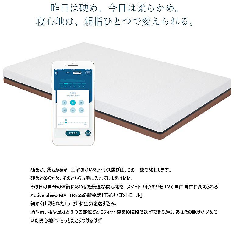 パラマウントベッド（PARAMOUNT BED） [組立設置送料無料] アクティブ