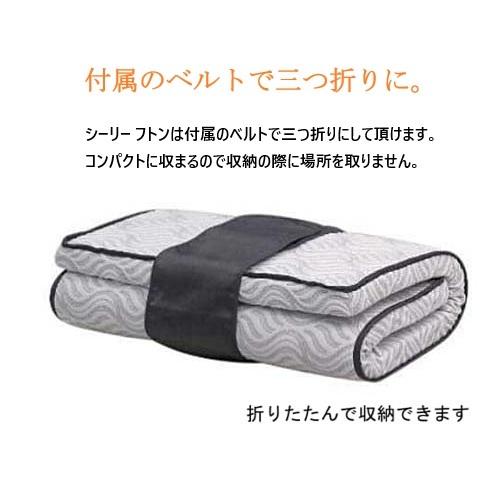 Sealy（シーリー） 【送料無料】シーリー フトン デラックス 腰部強化3