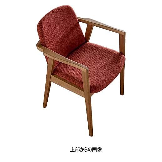 シキファニチア [うれしいレビュー特典有] (SIKI) アーム チェア ラク