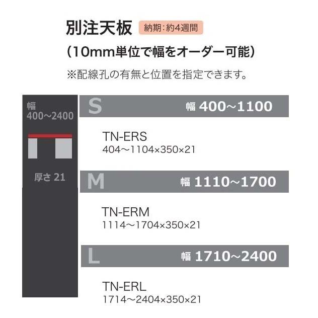 綾野製作所 別注天板 ALICIA（アリシア）TN-ERS/TN-ERM/TN-ERL 2色対応 幅400〜2400mm対応 送料無料