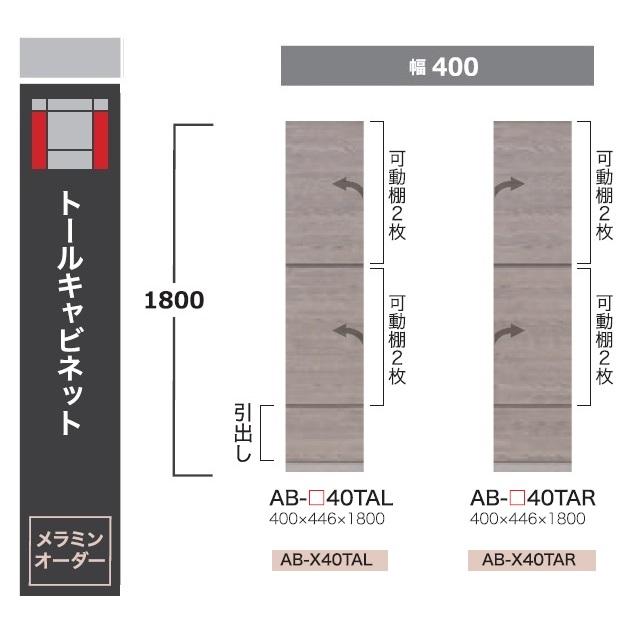 綾野製作所 40トールキャビネット バレッタ (BALLETTA) AB-40TA 前板基本色：シャビ−アッシュ色 (A) 別注色：2色対応 開梱設置送料無料