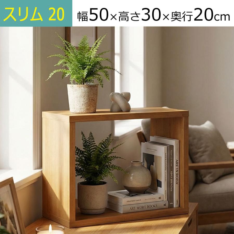 積んでbox カラーボックス 幅50 奥行き20 高さ30cm : 組み立て家具の