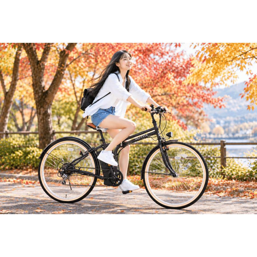電動アシスト自転車 折りたたみ式 26インチ 完成品 3アシスト＆6段変速 砲弾型ライト 免許不要 ネクスタイル NEXTYLE E-Fold 26 NX-EF266 | NEXTYLE | 11