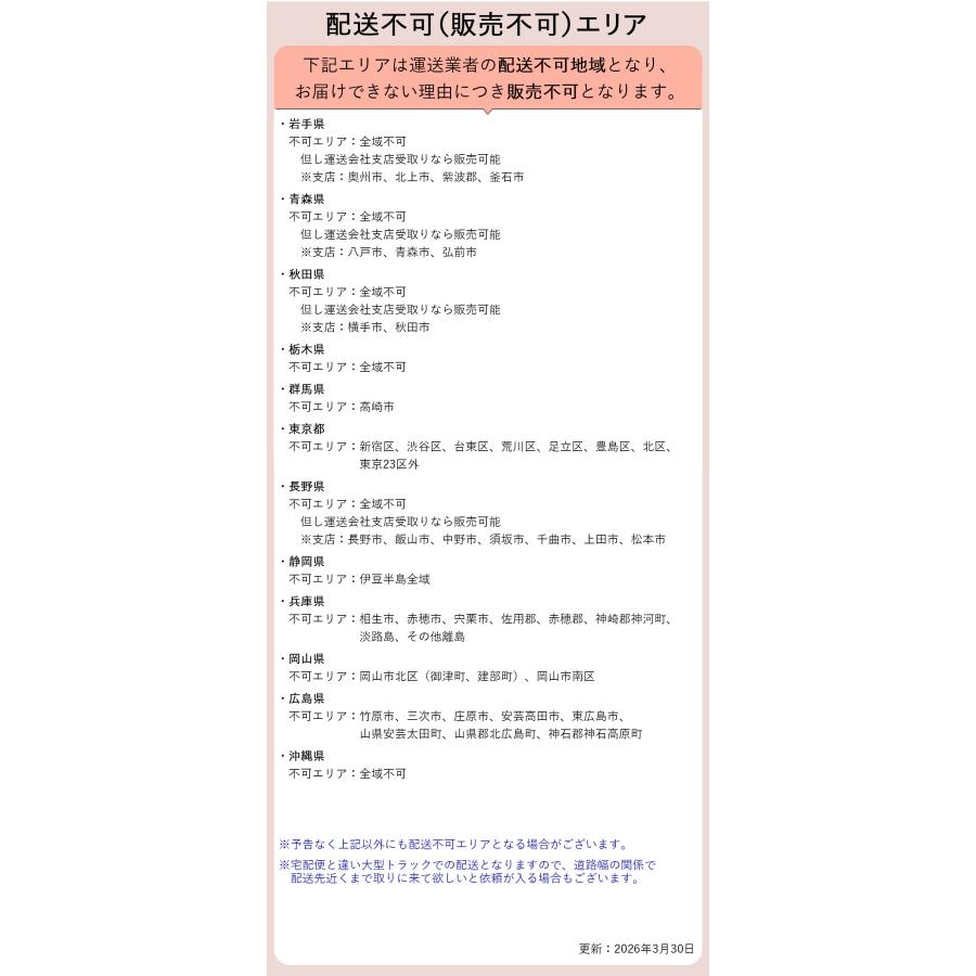 オオトモ 完成品 ノーパンクタイヤ 折りたたみ自転車 20インチ カゴ