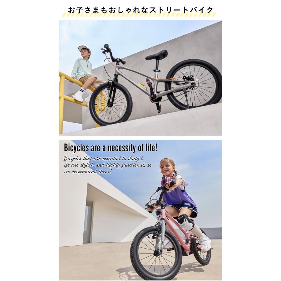 オオトモ 完成品 キックバイク兼子供用自転車 14インチ マグネシウム
