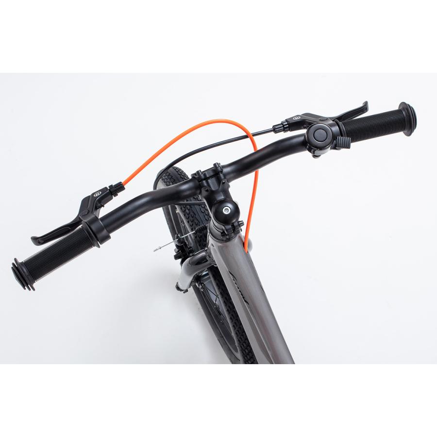 オオトモ キックバイク兼子供用自転車 14インチ 完成品 ペダルなし