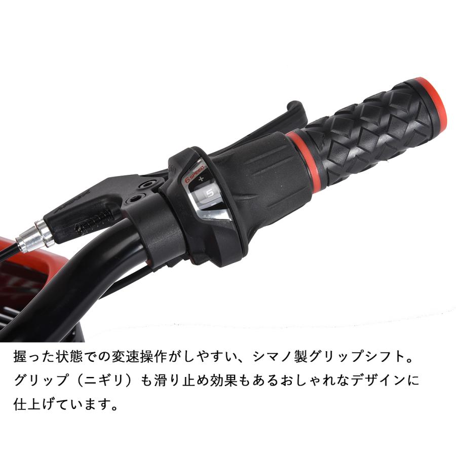 フォルクスワーゲン（Volkswagen） 完成品 組立済 BAA 子供用自転車 20