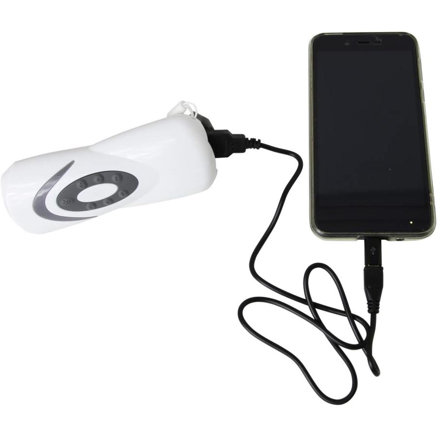 防災ラジオライト 手回し充電 携帯充電器 iPhone Android スマホ typeC