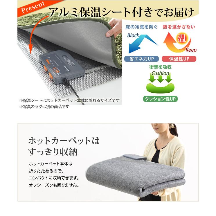 ホットカーペット カバー 木目調ホットカーペット・カバー ウッディ 3