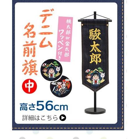 室内用 こいのぼり 端午の節句 節句飾り 子供の日 おしゃれ