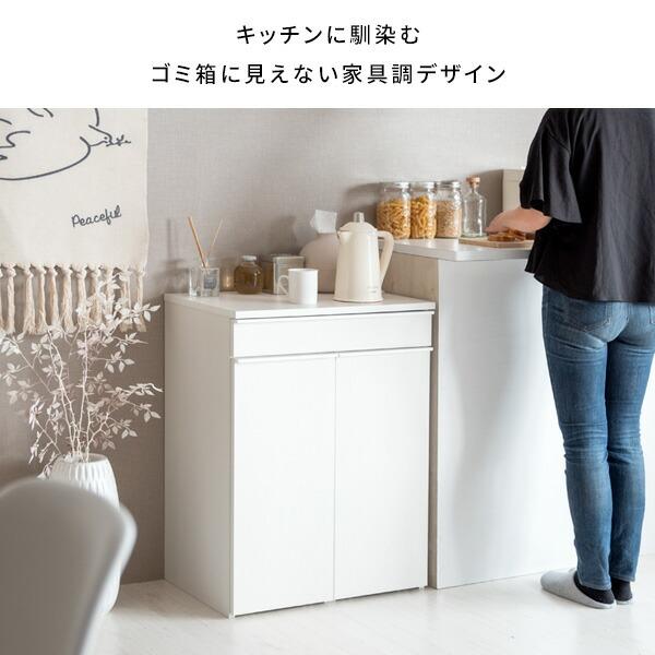 分別ドロワーダストボックス キャスター付き 2分別 木製 キッチン 洗面所 リビング ゴミ箱 ダストBOX くずかご スタイリッシュ 大容量 45リットル NotT ノット_2