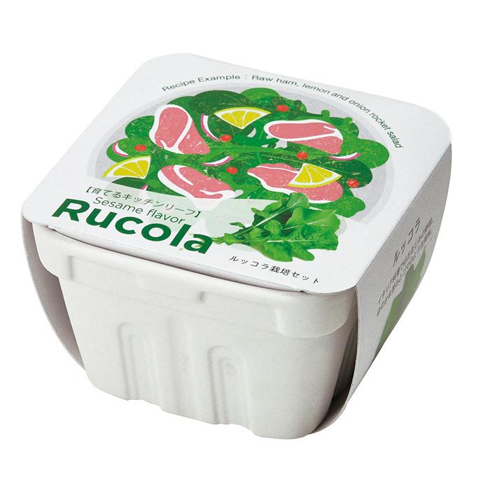 サラディアグリーン 栽培キット ルッコラ 36点 77 以上節約