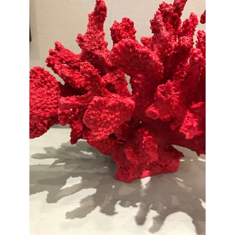 赤サンゴ オブジェ 置物 インテリア マリン リゾート 赤色 レッド 海 海辺 置き物 水族館 ビーチ 珊瑚 沖縄 おしゃれ かわいい｜f-syo-ei｜08