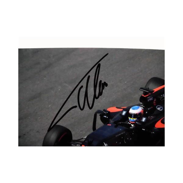 高級感 16 ｆ アロンソ マクラーレン ホンダ Mp4 31 直筆サイン入フォト S 540 新品即決 Atempletonphoto Com